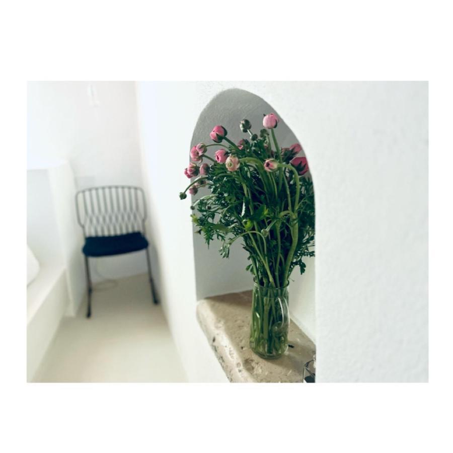 Hydria Guest House Art Gallery 아쿠아비바 델레 폰티 외부 사진