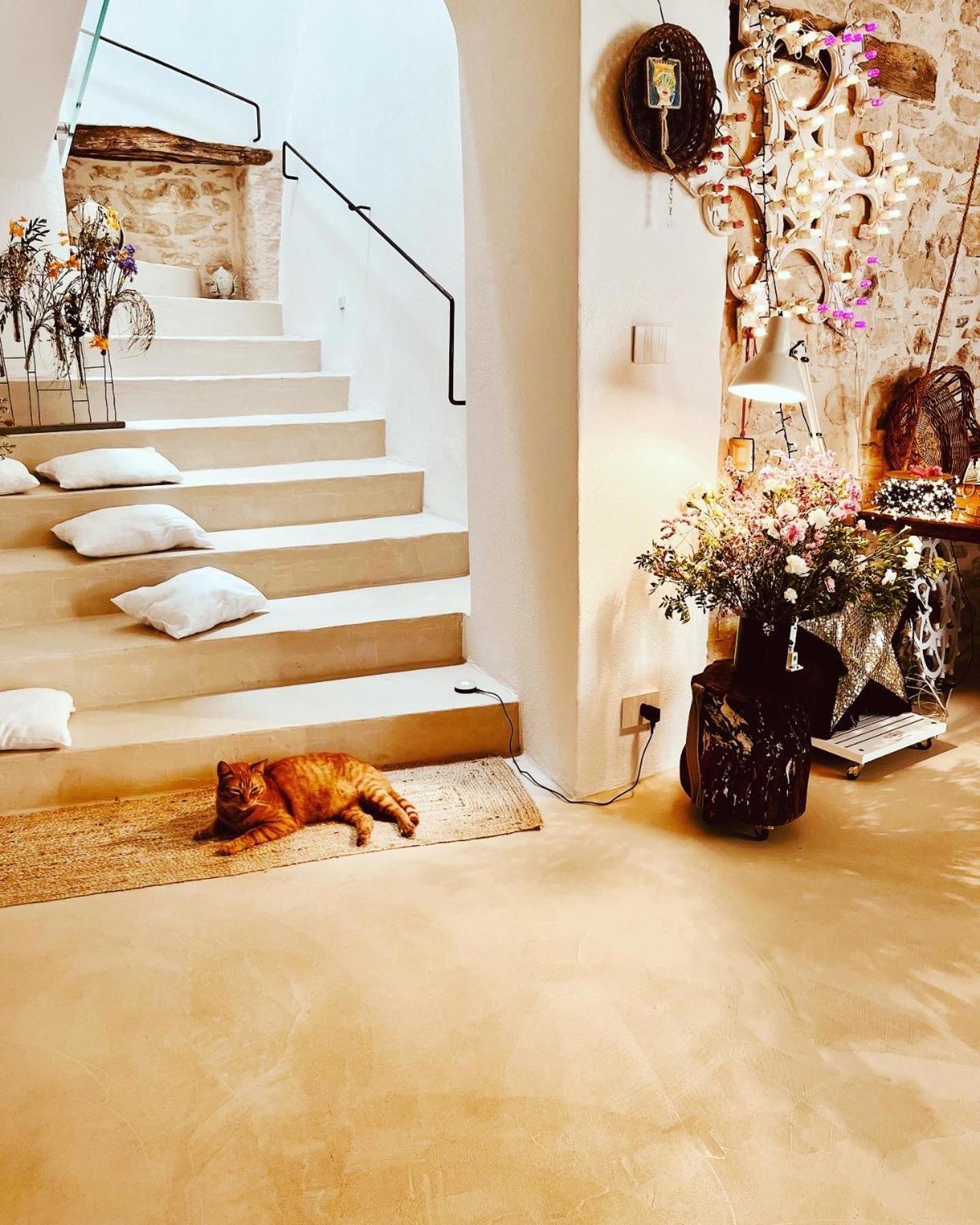 Hydria Guest House Art Gallery 아쿠아비바 델레 폰티 외부 사진