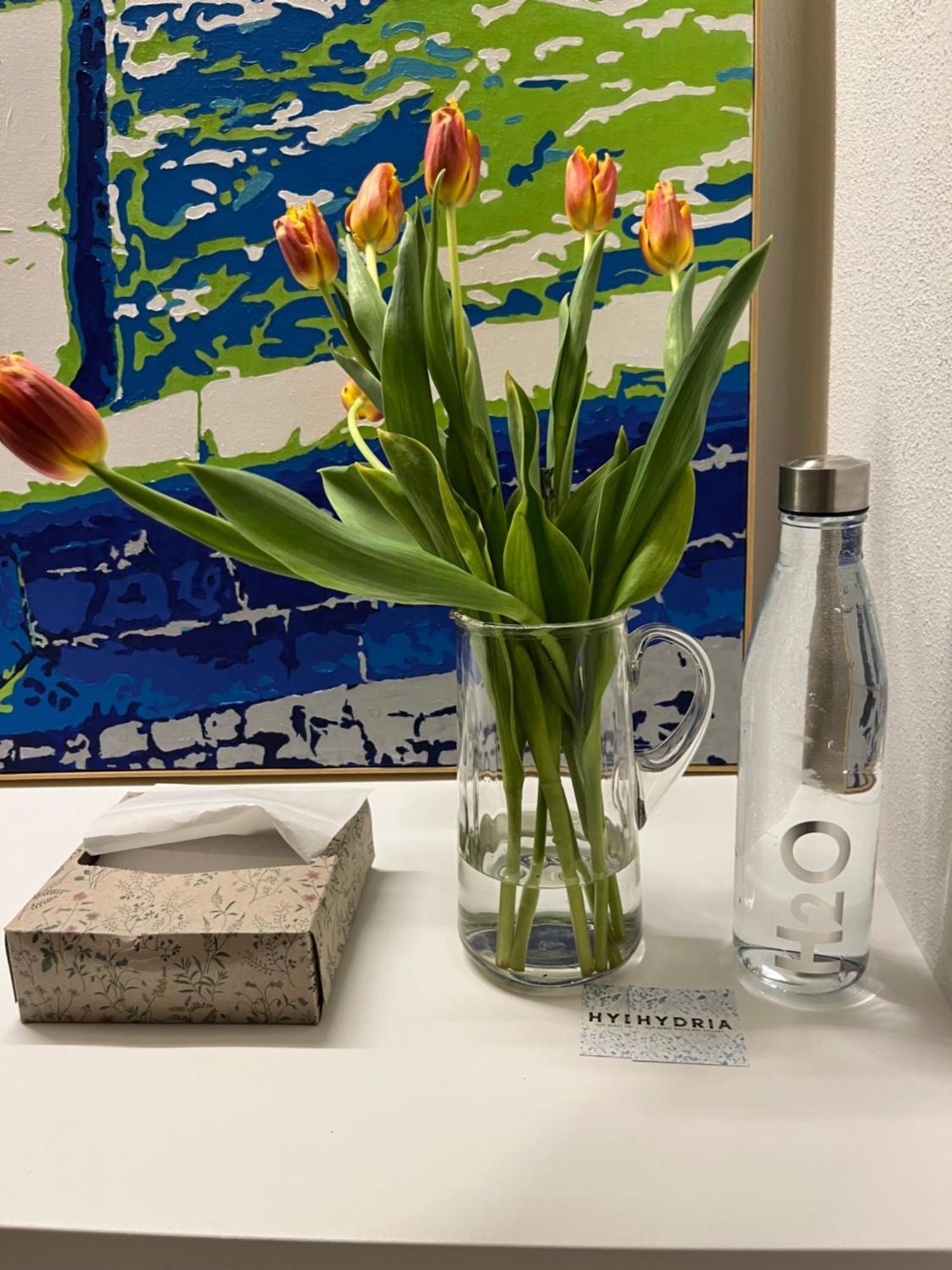 Hydria Guest House Art Gallery 아쿠아비바 델레 폰티 외부 사진