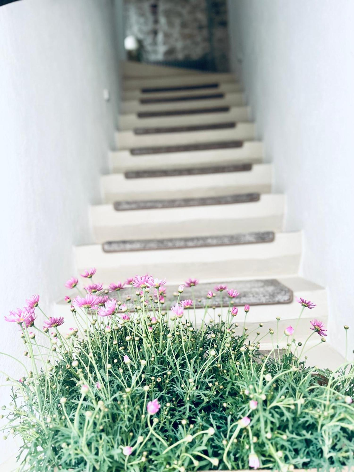 Hydria Guest House Art Gallery 아쿠아비바 델레 폰티 외부 사진